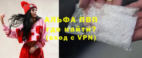 прущие грибы Абаза
