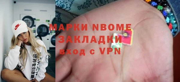 прущие грибы Абаза