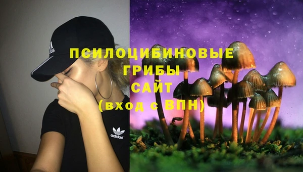2c-b Абинск