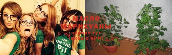 прущие грибы Абаза