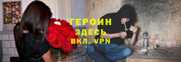 крисы Новокубанск