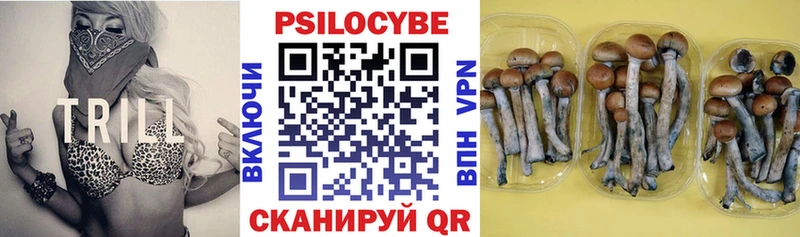 Псилоцибиновые грибы GOLDEN TEACHER  Ханты-Мансийск 